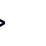 Femto Project API + Website Leak